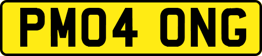 PM04ONG