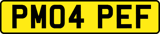 PM04PEF