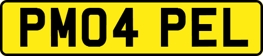 PM04PEL