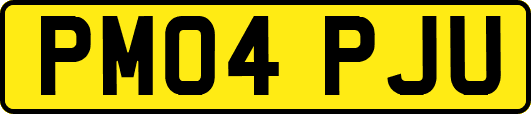 PM04PJU