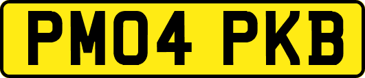 PM04PKB