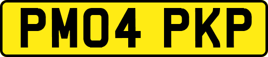 PM04PKP