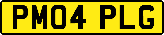 PM04PLG