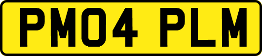 PM04PLM