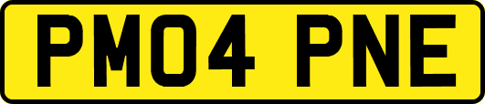PM04PNE