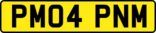 PM04PNM