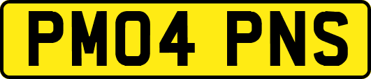PM04PNS