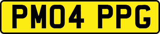 PM04PPG