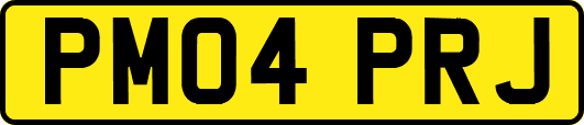 PM04PRJ