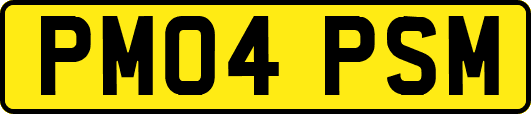 PM04PSM