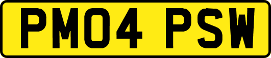 PM04PSW