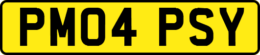 PM04PSY