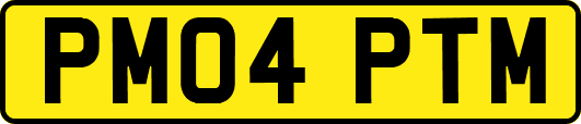PM04PTM