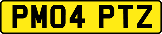 PM04PTZ