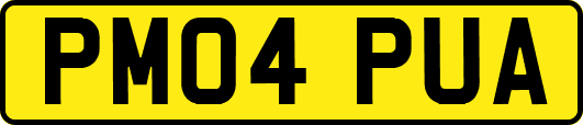 PM04PUA