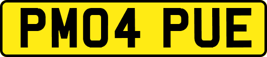 PM04PUE