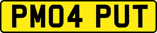 PM04PUT