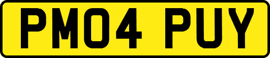 PM04PUY