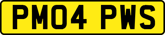 PM04PWS