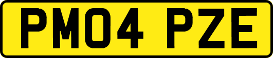 PM04PZE