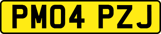 PM04PZJ