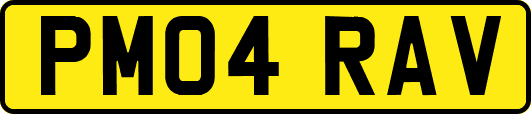 PM04RAV