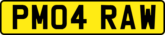 PM04RAW