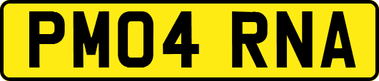 PM04RNA