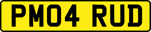 PM04RUD