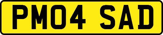 PM04SAD