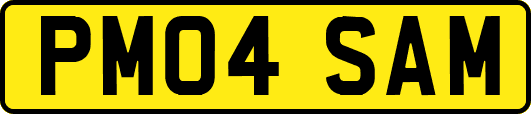 PM04SAM