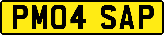 PM04SAP