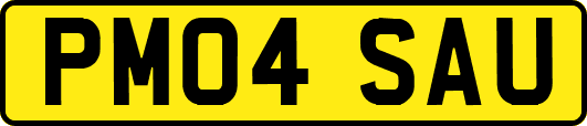 PM04SAU