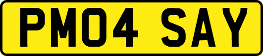 PM04SAY