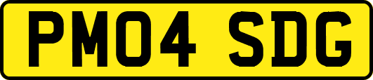 PM04SDG