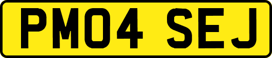 PM04SEJ