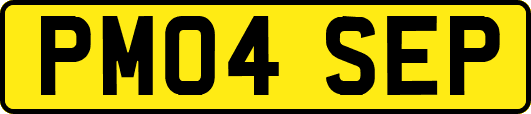 PM04SEP