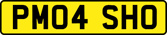 PM04SHO