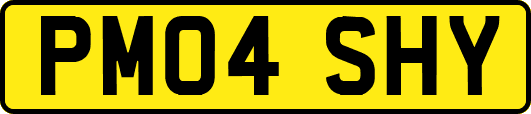 PM04SHY
