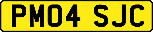 PM04SJC