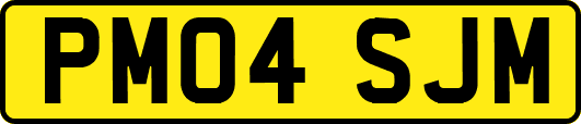 PM04SJM