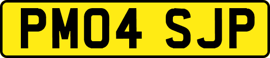 PM04SJP