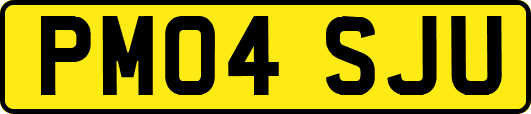 PM04SJU
