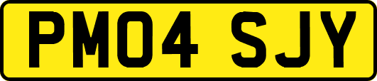 PM04SJY