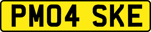 PM04SKE