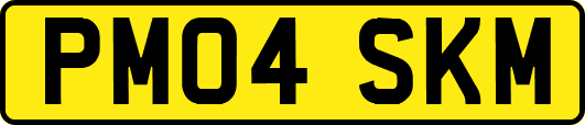 PM04SKM