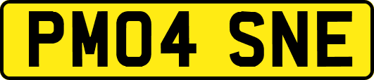 PM04SNE