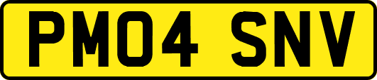 PM04SNV