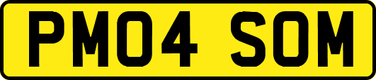 PM04SOM