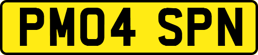 PM04SPN